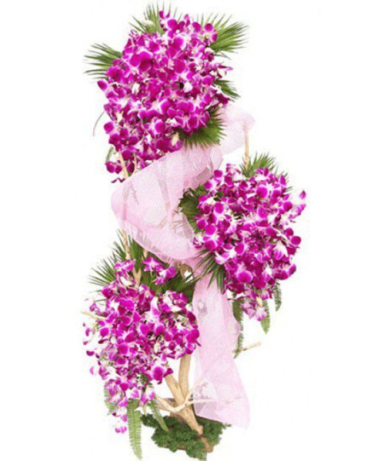 Beautiful Orchids Arrangement Beautiful Orchids Arrangement