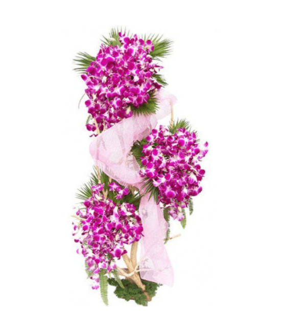 Beautiful Orchids Arrangement