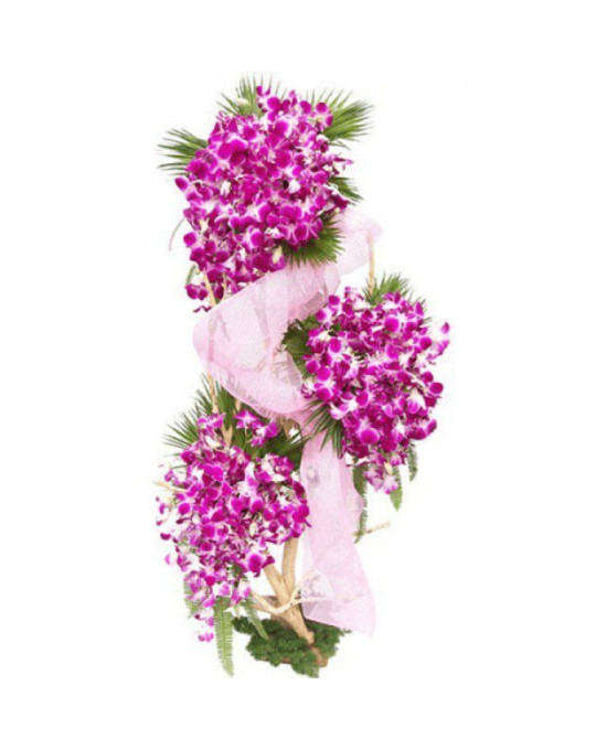 Beautiful Orchids Arrangement