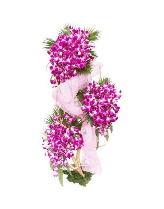 Beautiful Orchids Arrangement