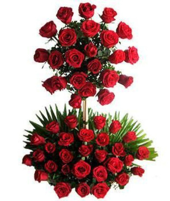 Two Tier Arrangement Two Tier Arrangement