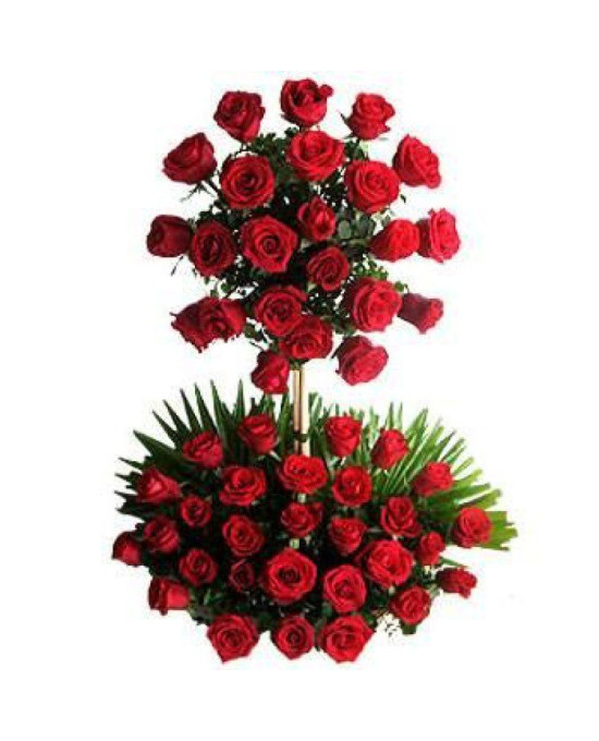 Two Tier Arrangement