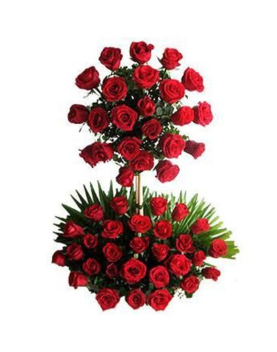 Two Tier Arrangement